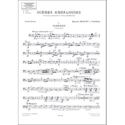 Scene Andalouse Trio